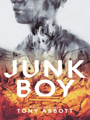 cover image of Junk Boy